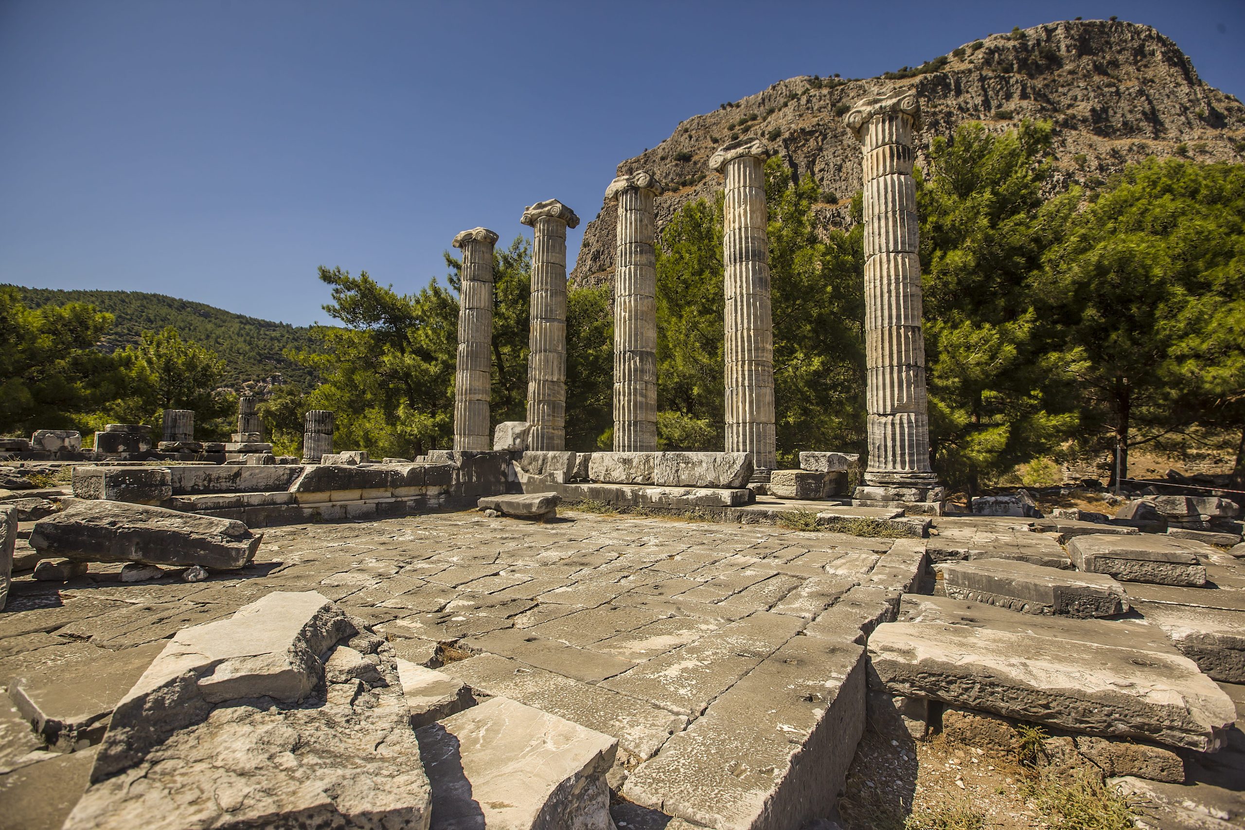 Izlet iz Kušadasija: Priene, Milet i Didima
